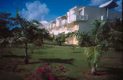 Hotel Amyris