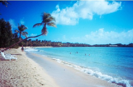 &nbsp;Les Salines Beach